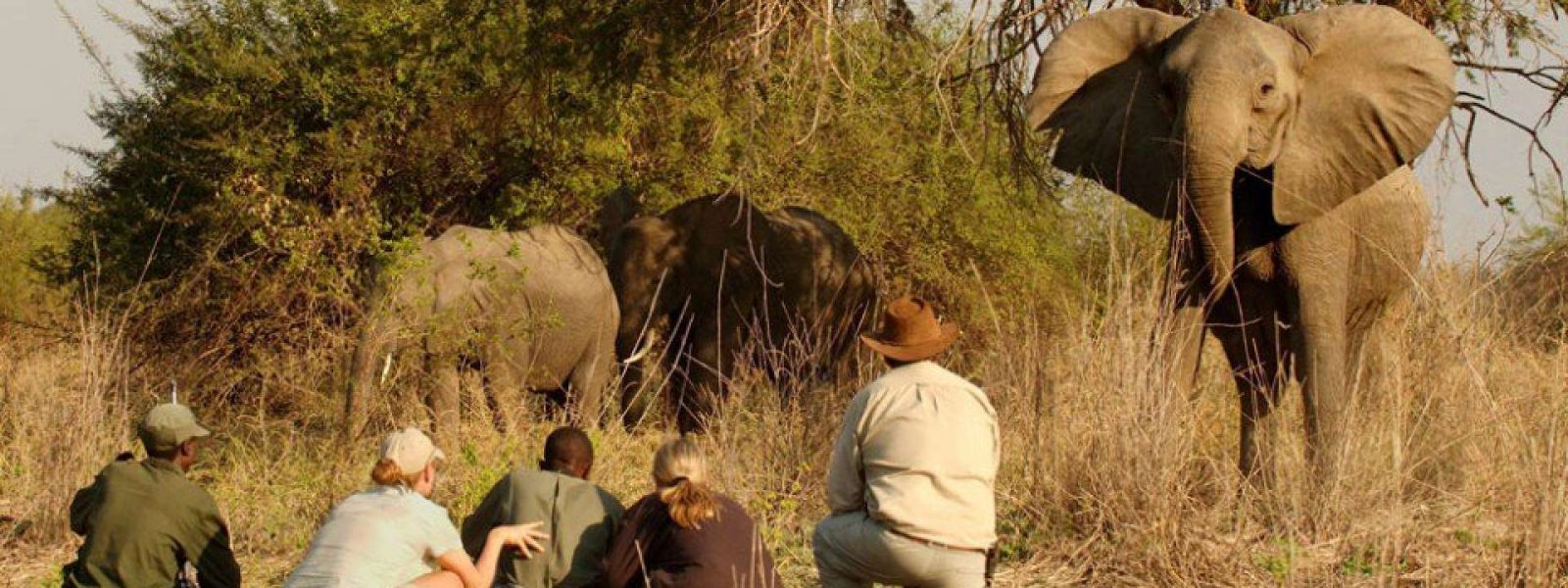 knp walk