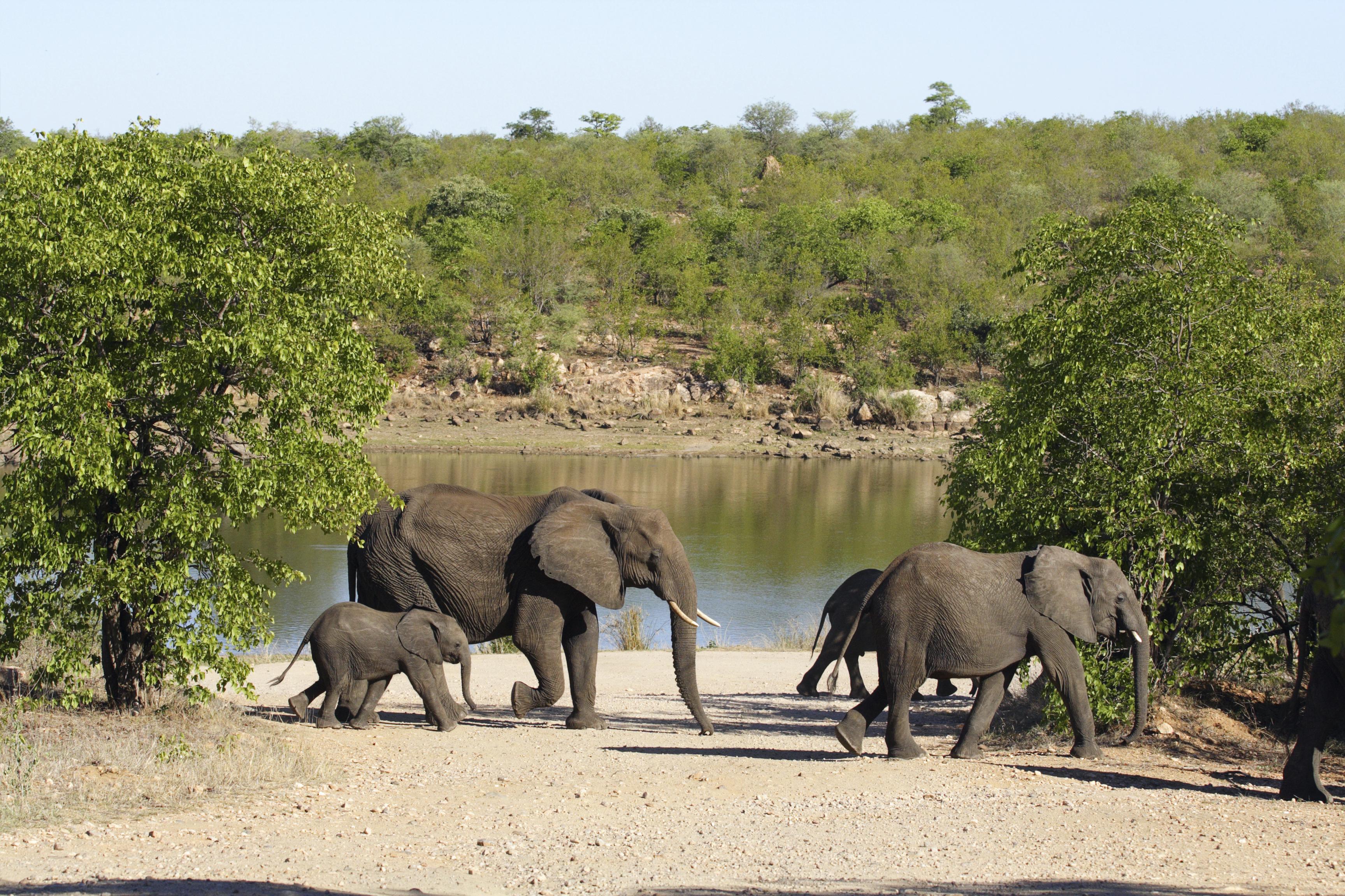 Kruger National Park