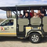 Kruger National Park Safari