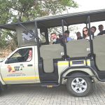 Kruger National Park Safari
