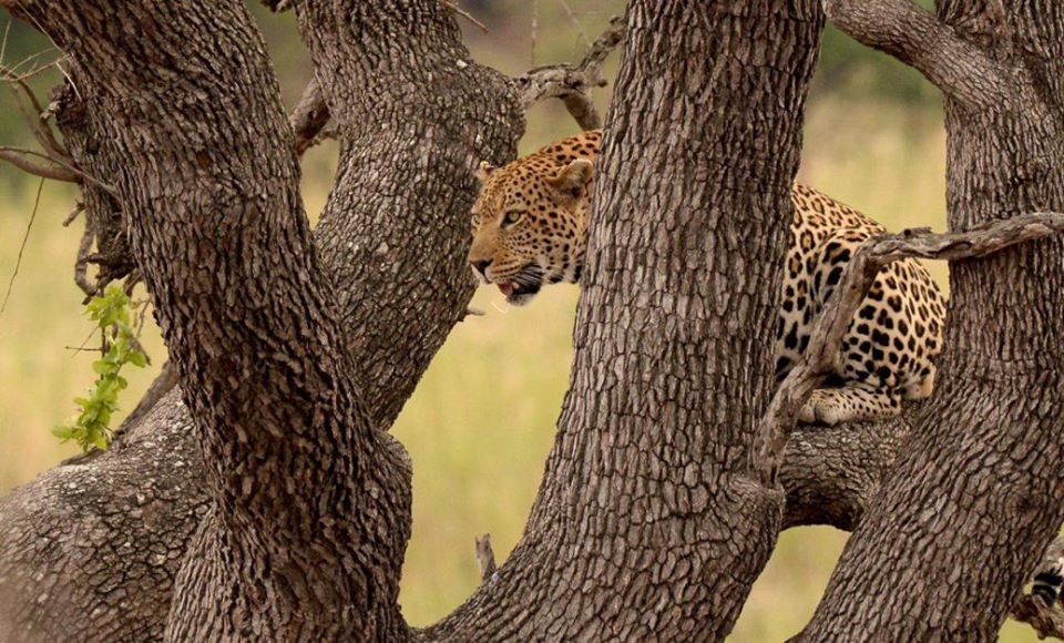 Kruger National Park