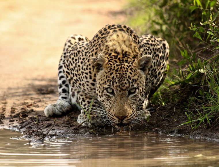 4 Days in Kruger